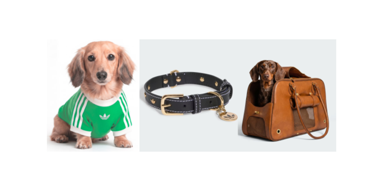 Adidas Originals Launches Pet Collection in India