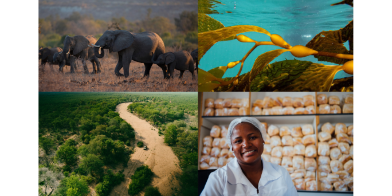 De Beers Group 2025 Sustainability Report